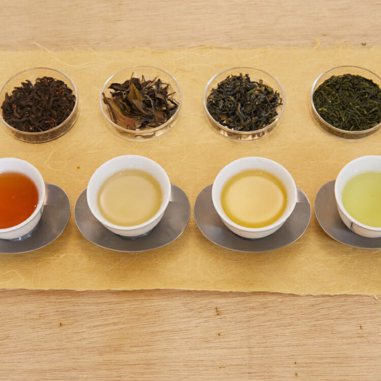 〈長春〉ワークショップ お茶4種の飲み比べ
