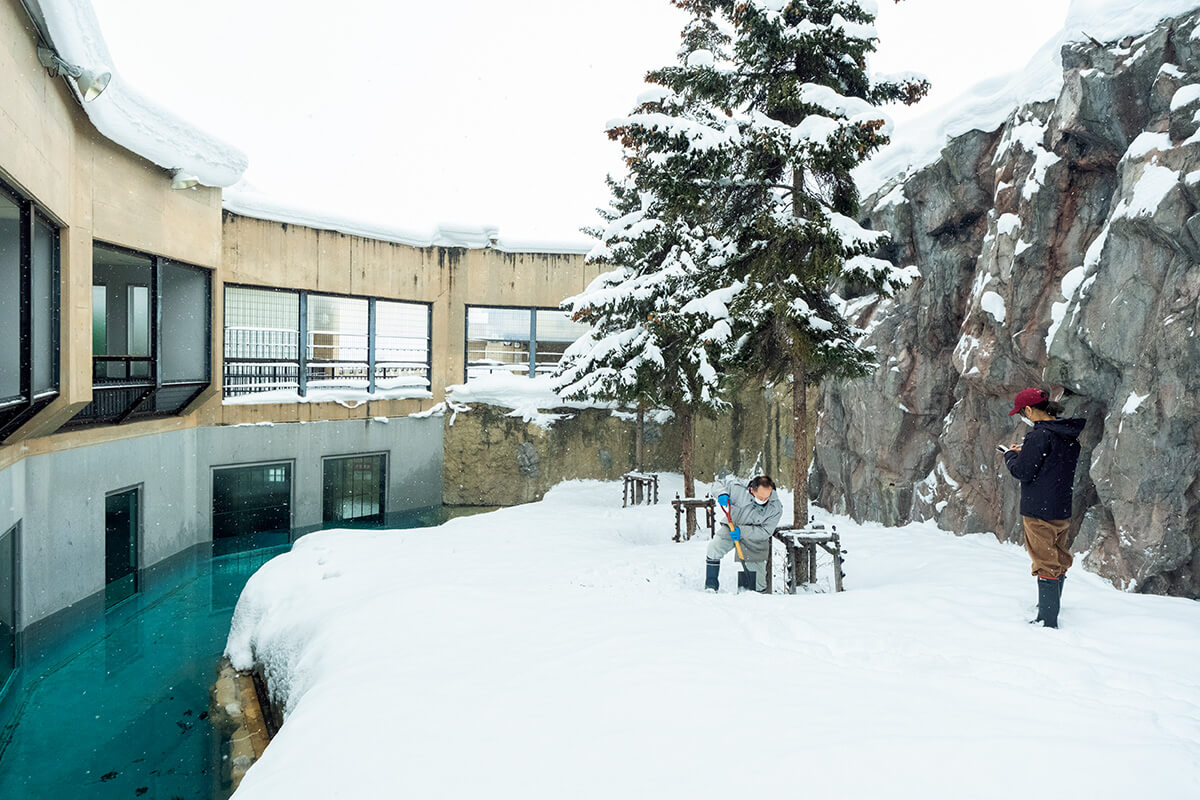 北海道〈旭山動物園〉放飼場の除雪の様子