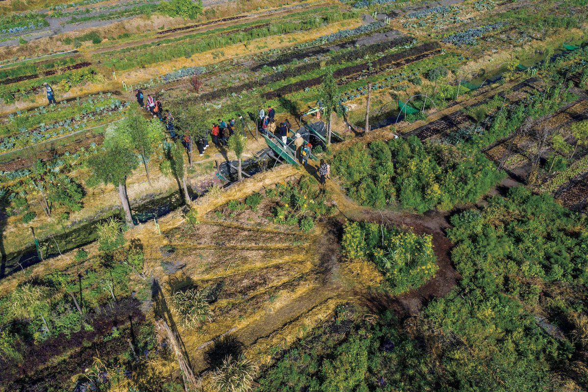 メキシコ　アルカ・ティエラ　農園では年間約200種の野菜を栽培する