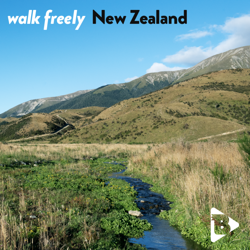 walk freely New Zealand