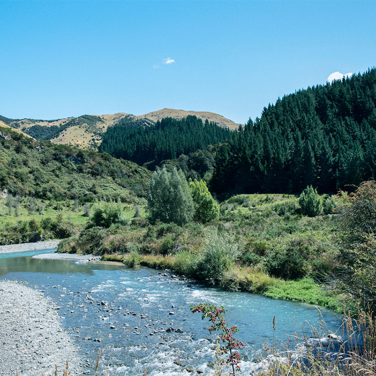 ニュージーランドの誰もいない桃源郷で、歩いて釣りのポイントを探険する