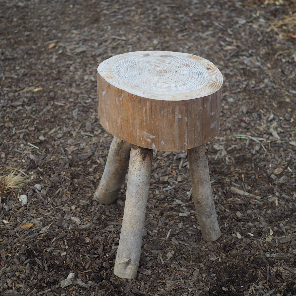 間伐材で作った椅子