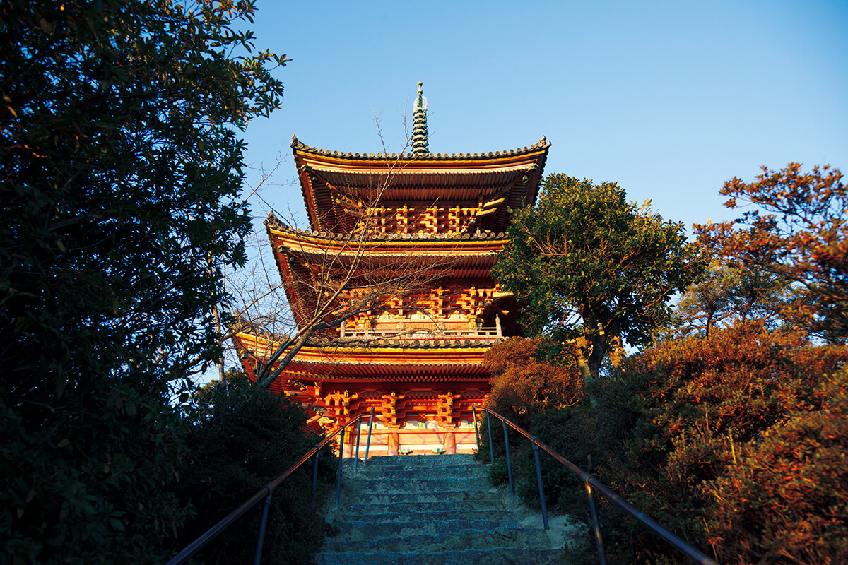瀬戸田〈向上寺〉の国宝・三重塔
