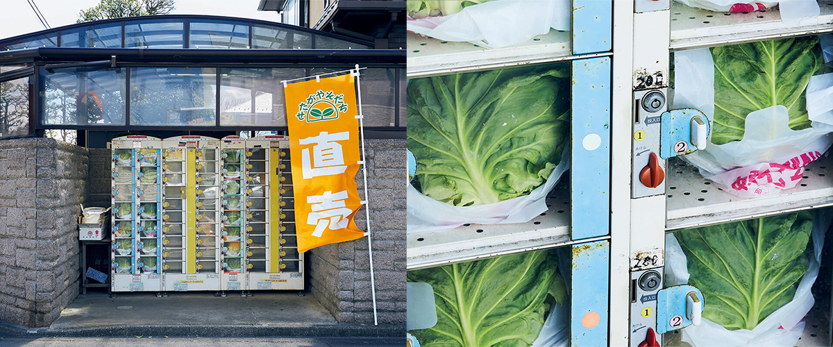 東京世田谷区にあるキャベツの自動販売機