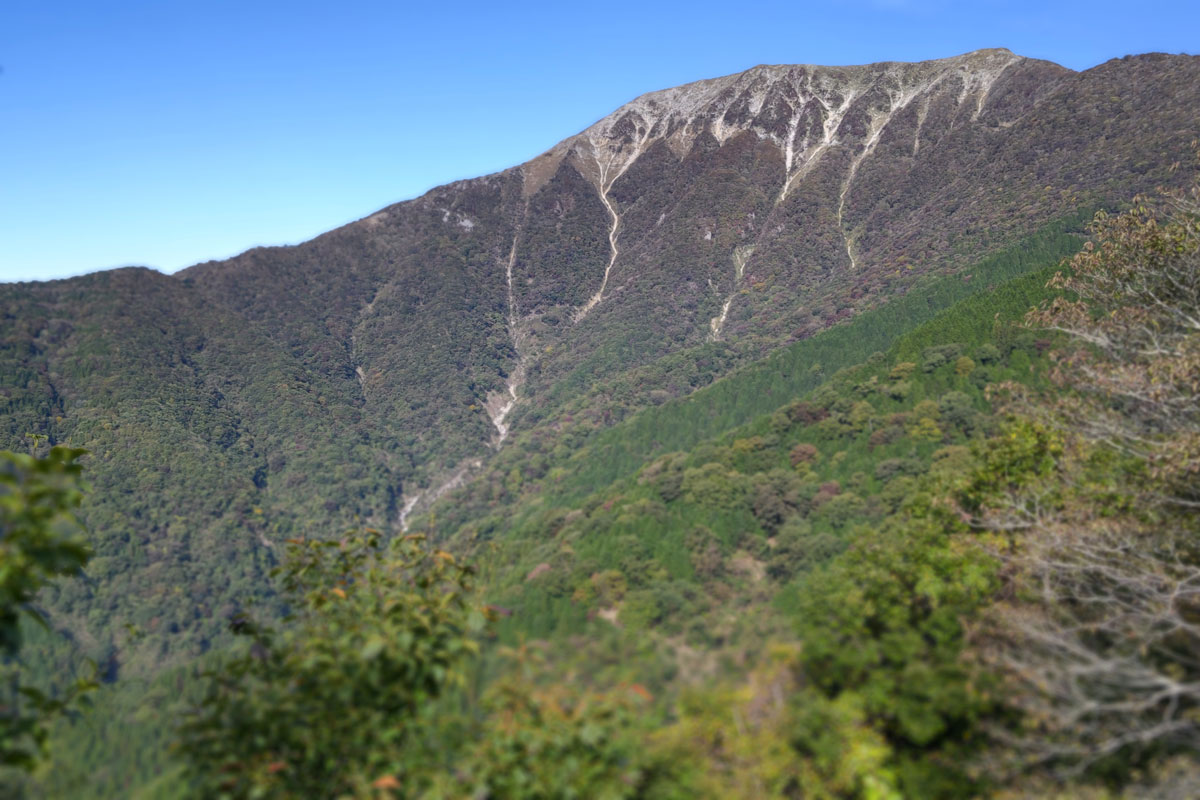 伊吹山の全景