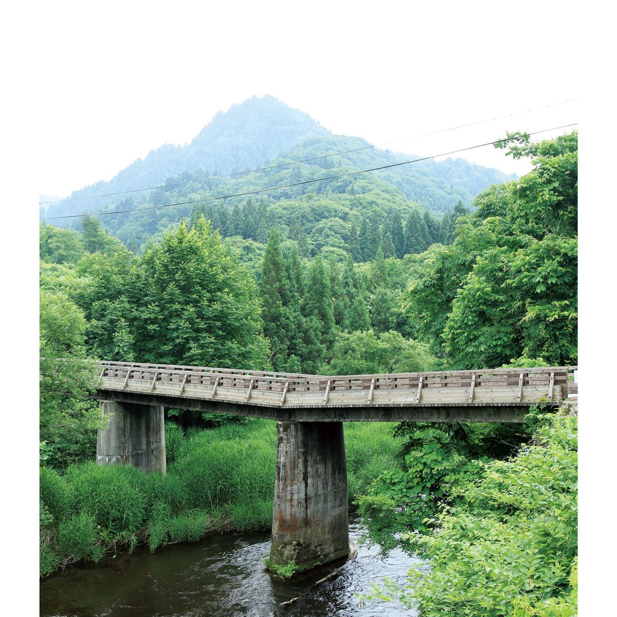 小阿仁川と川にかかる橋