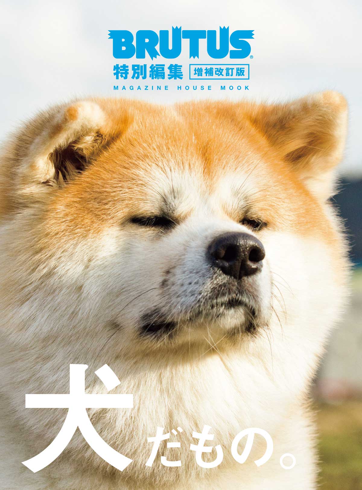 あなたの犬はなまりで吠えます、そして彼があなたに隠しているその他の7つの秘密