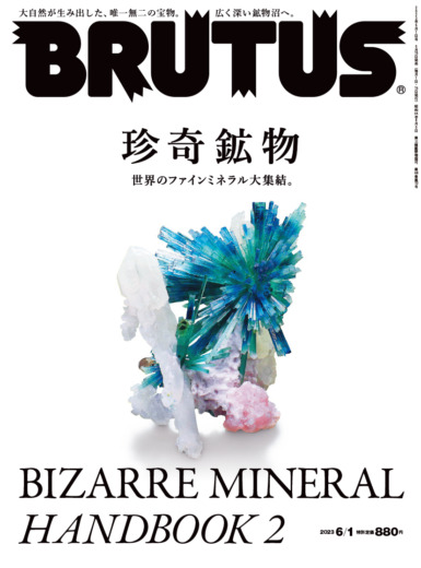 No.985「珍奇鉱物」