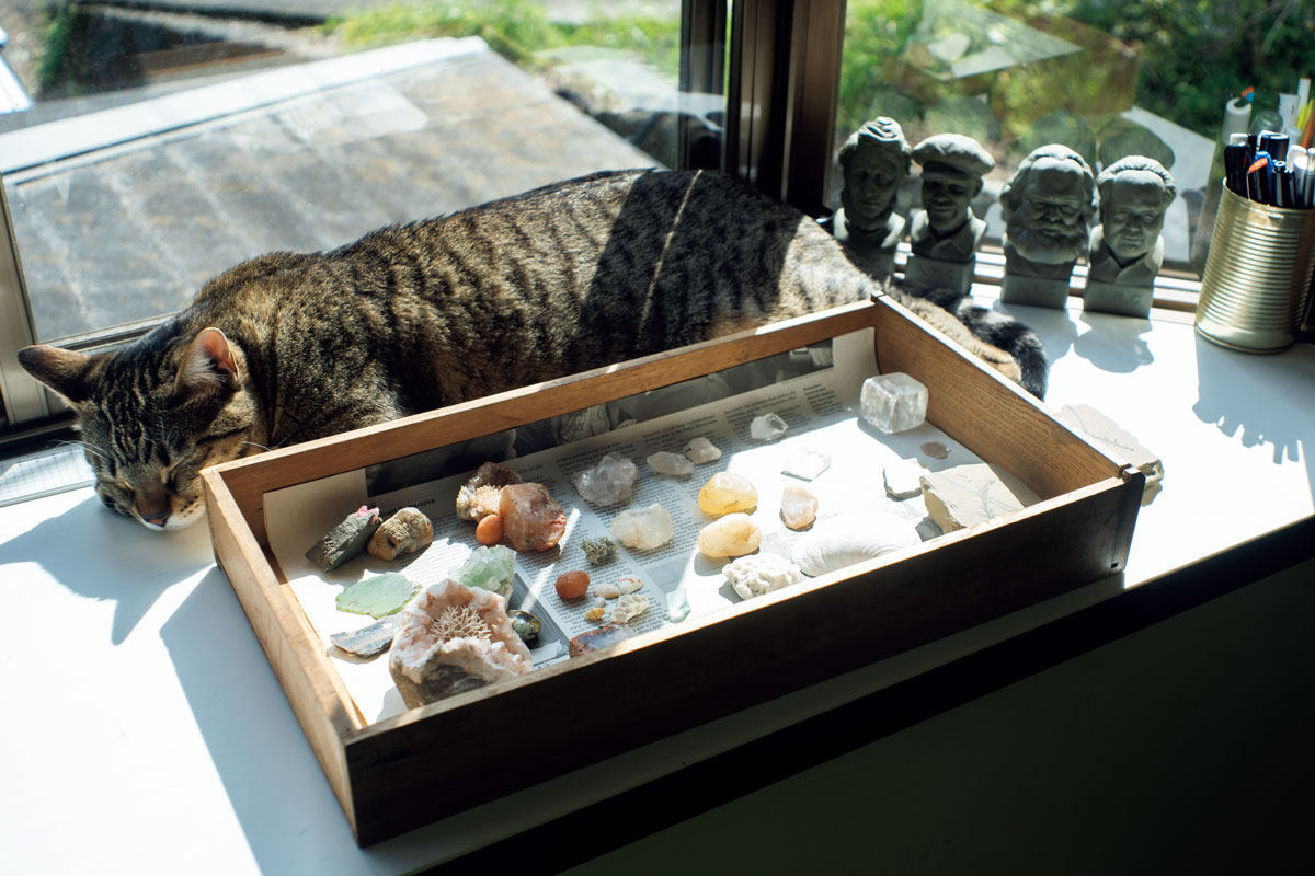 愛猫テトと鉱物が収められた引き出しの箱