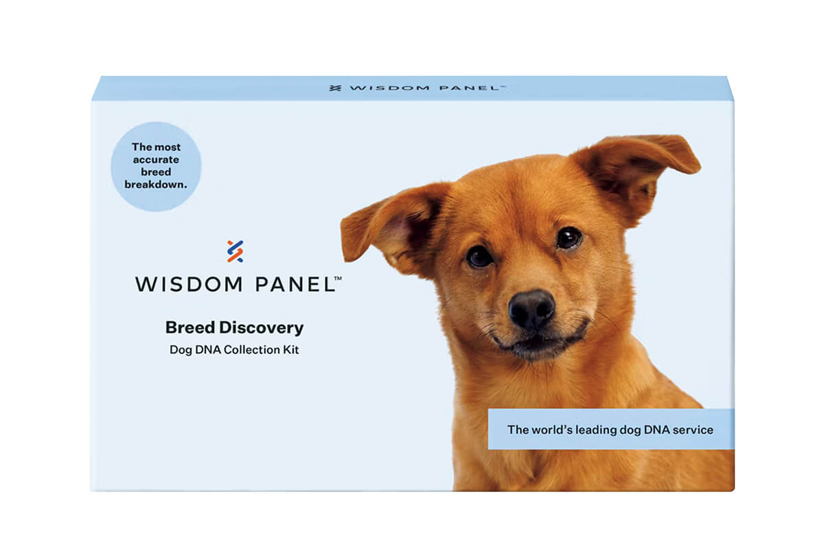 犬用遺伝子検査キット《Wisdom Panel》