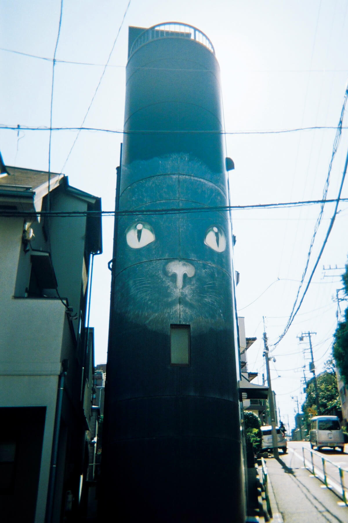 文京区小石川にある猫のイラストが描かれたビル