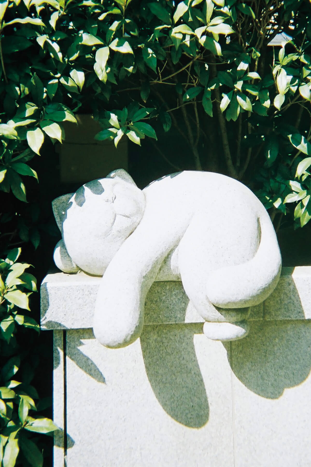 杉並区〈白山神社〉猫の石像