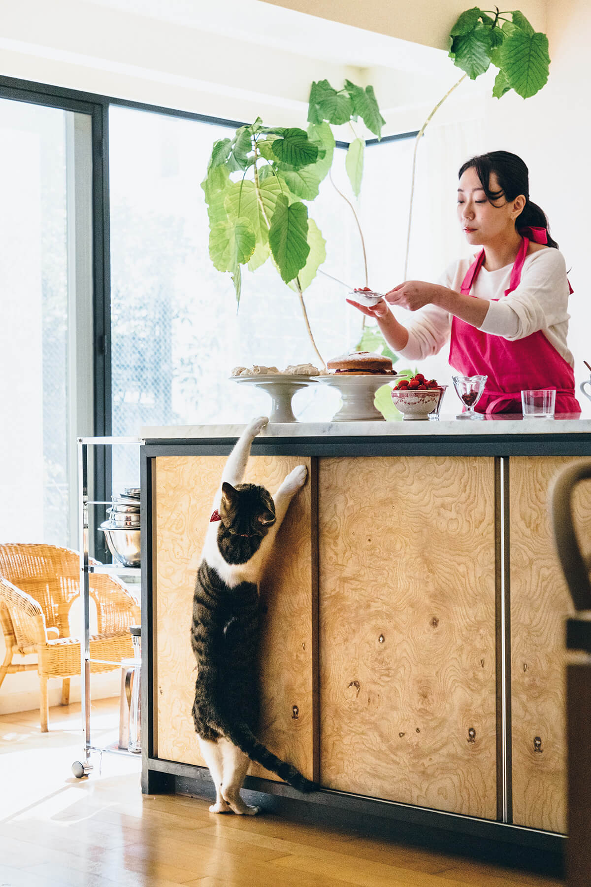 料理研究家・若山曜子と愛猫のもんちゃん