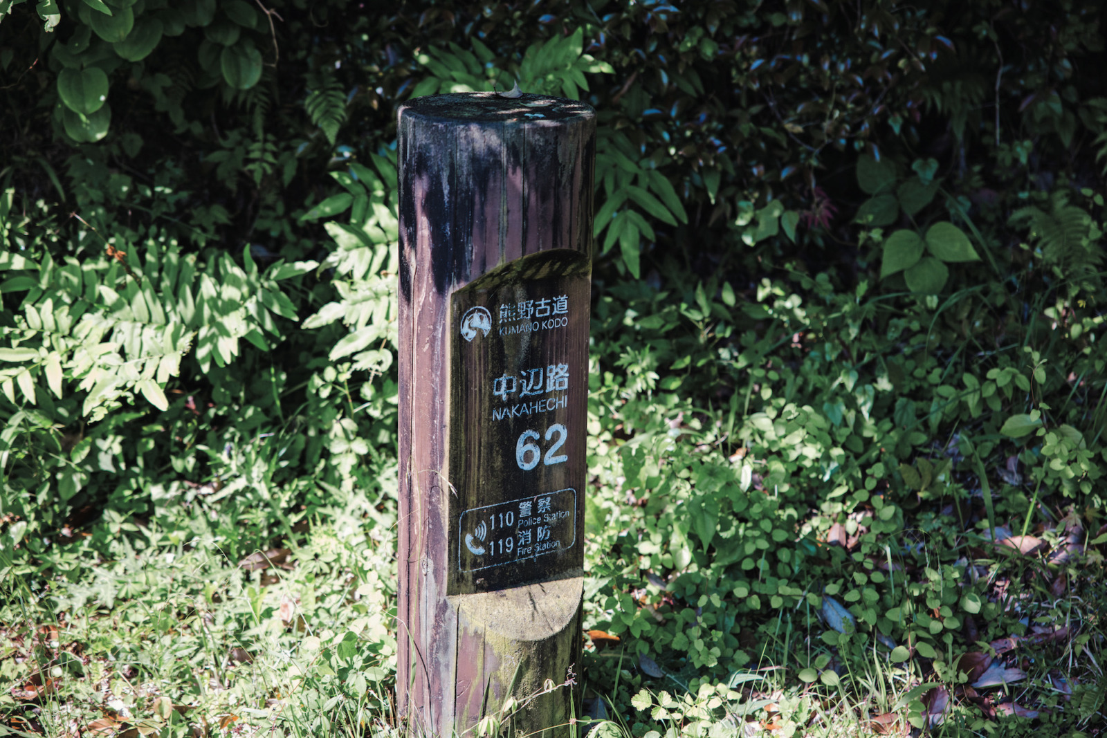 熊野古道 番号が書かれた標識