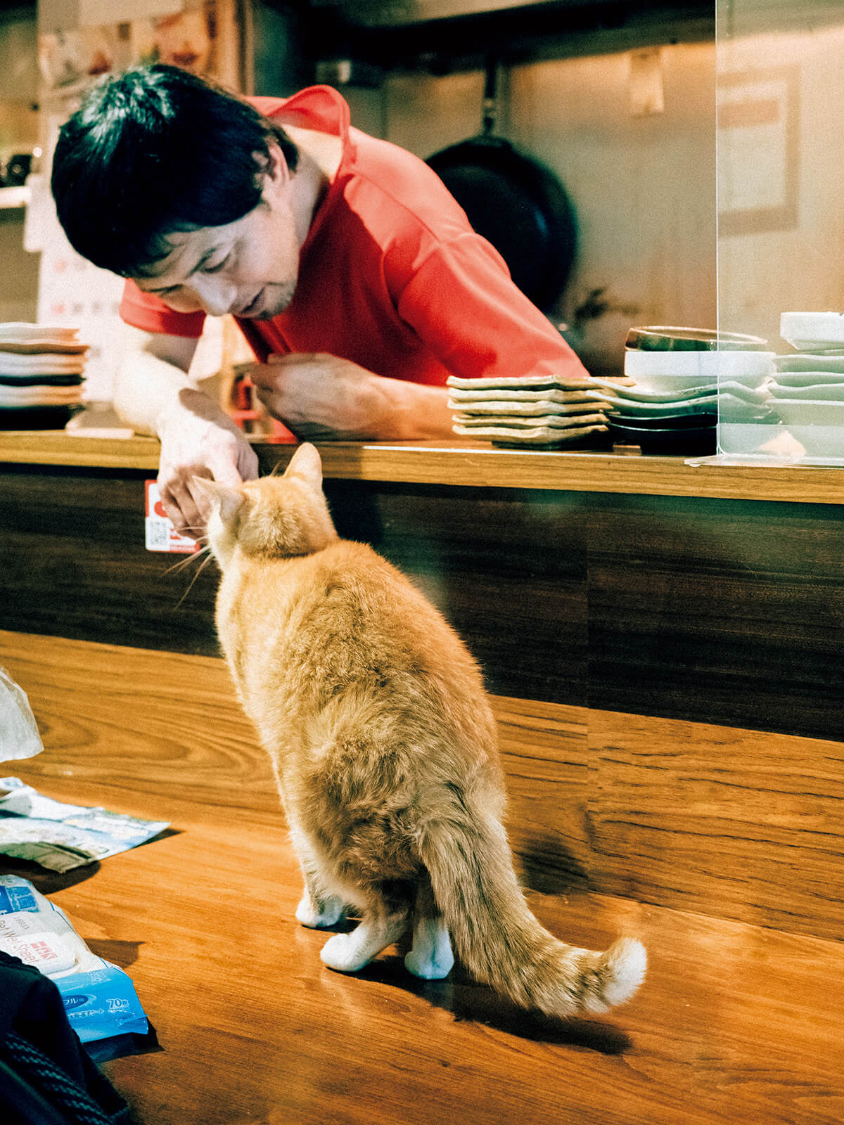 東京〈SUIREN〉店主と看板猫のトム