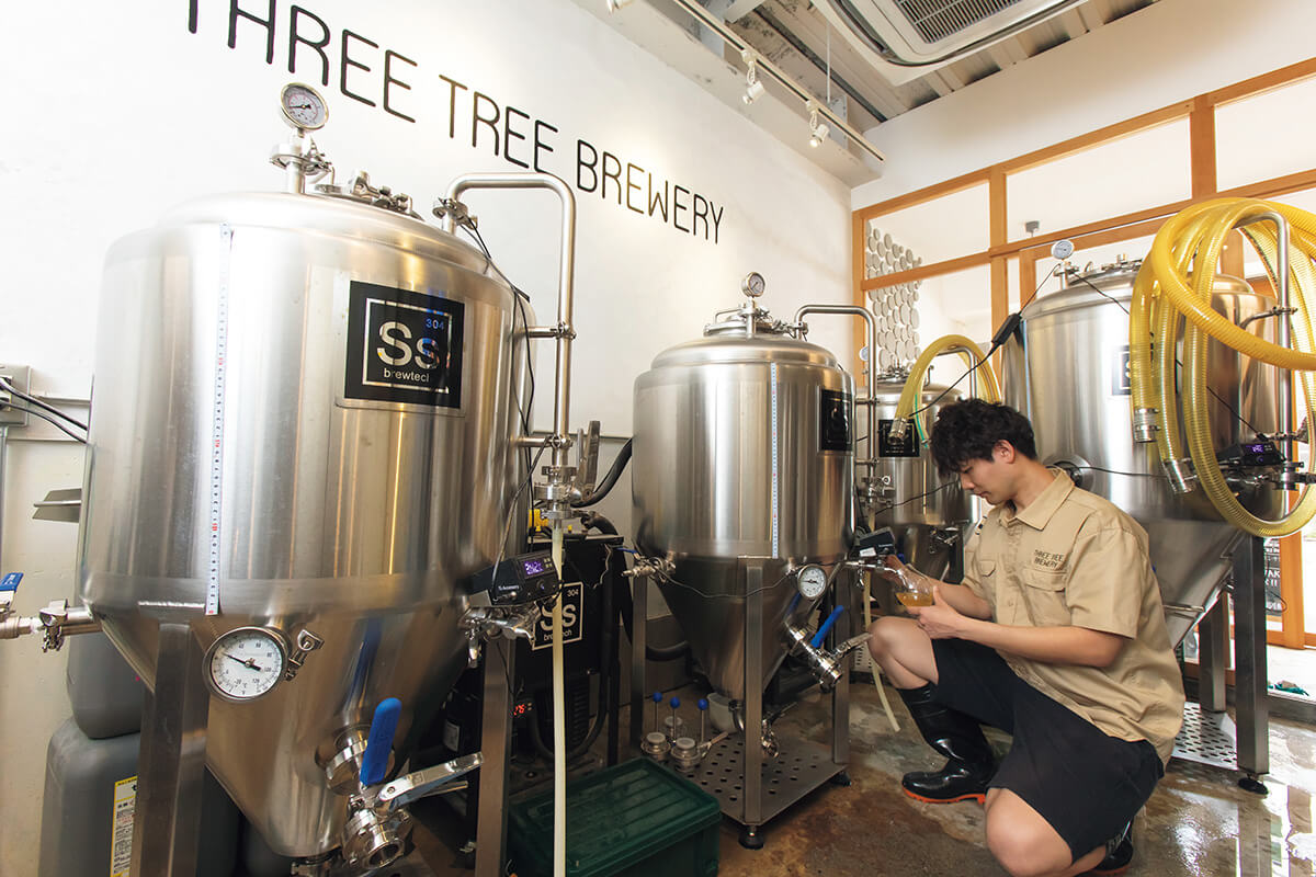 大阪〈3TREE BREWERY〉醸造所内